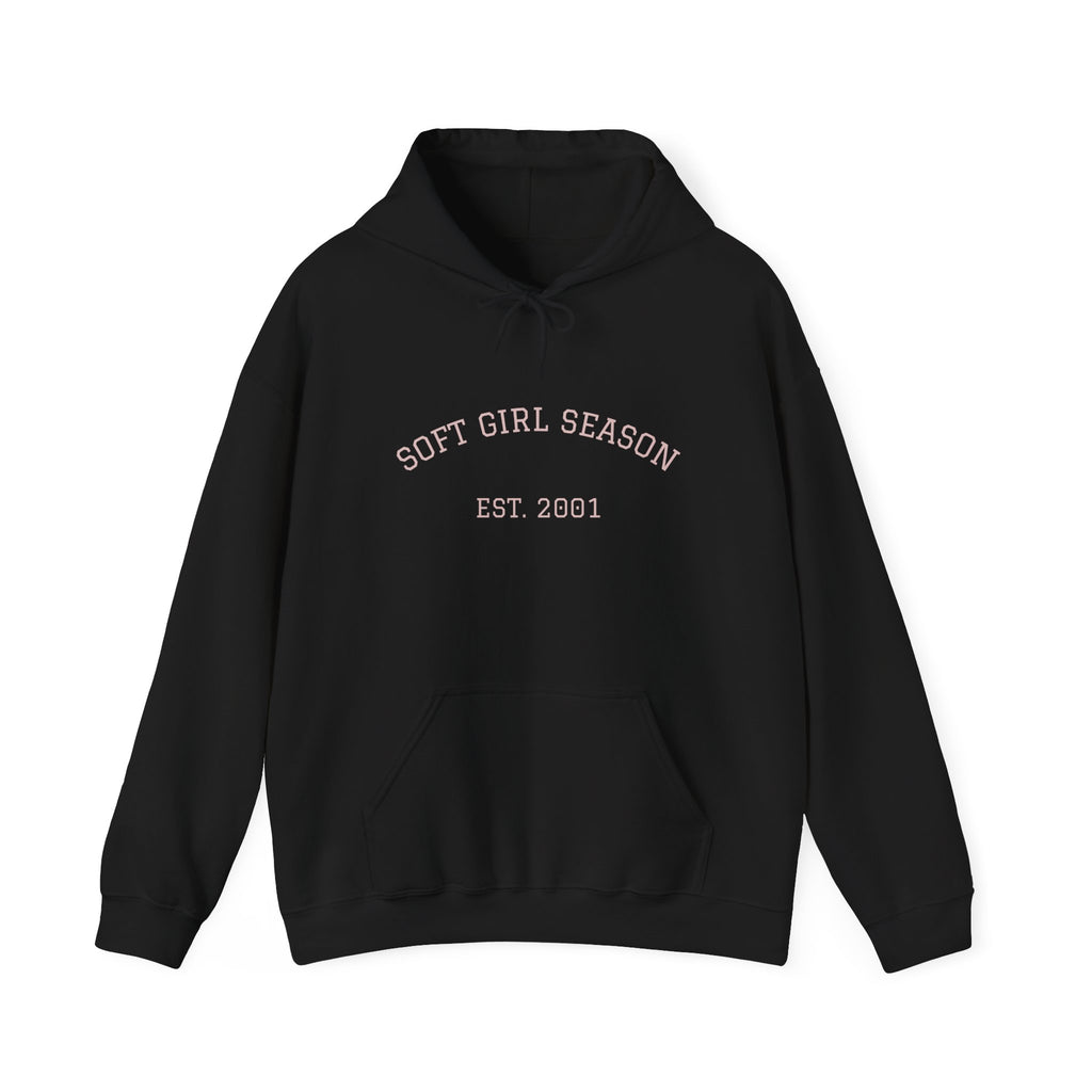 Baby Pink Soft Girl Vibes Hoodie | Pastel Aesthetic Sweatshirt