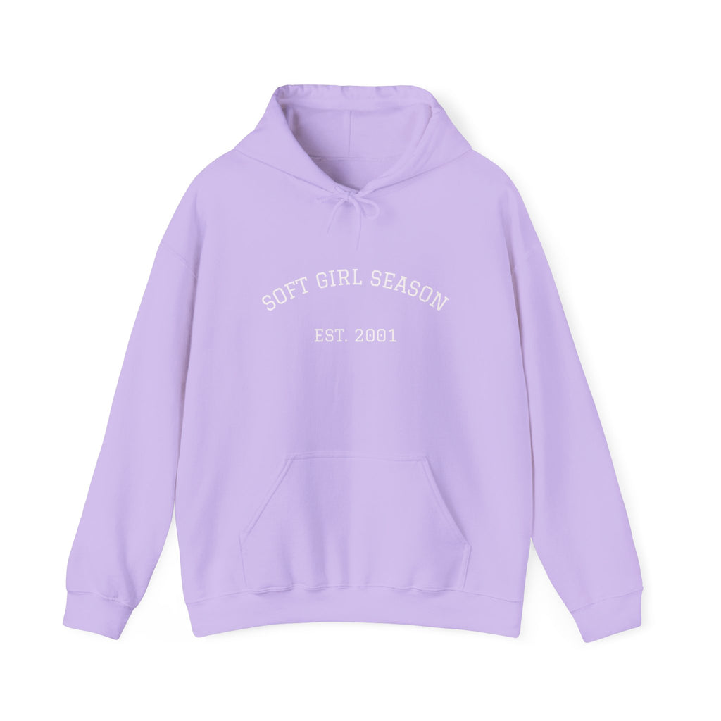 Baby Pink Soft Girl Vibes Hoodie | Pastel Aesthetic Sweatshirt