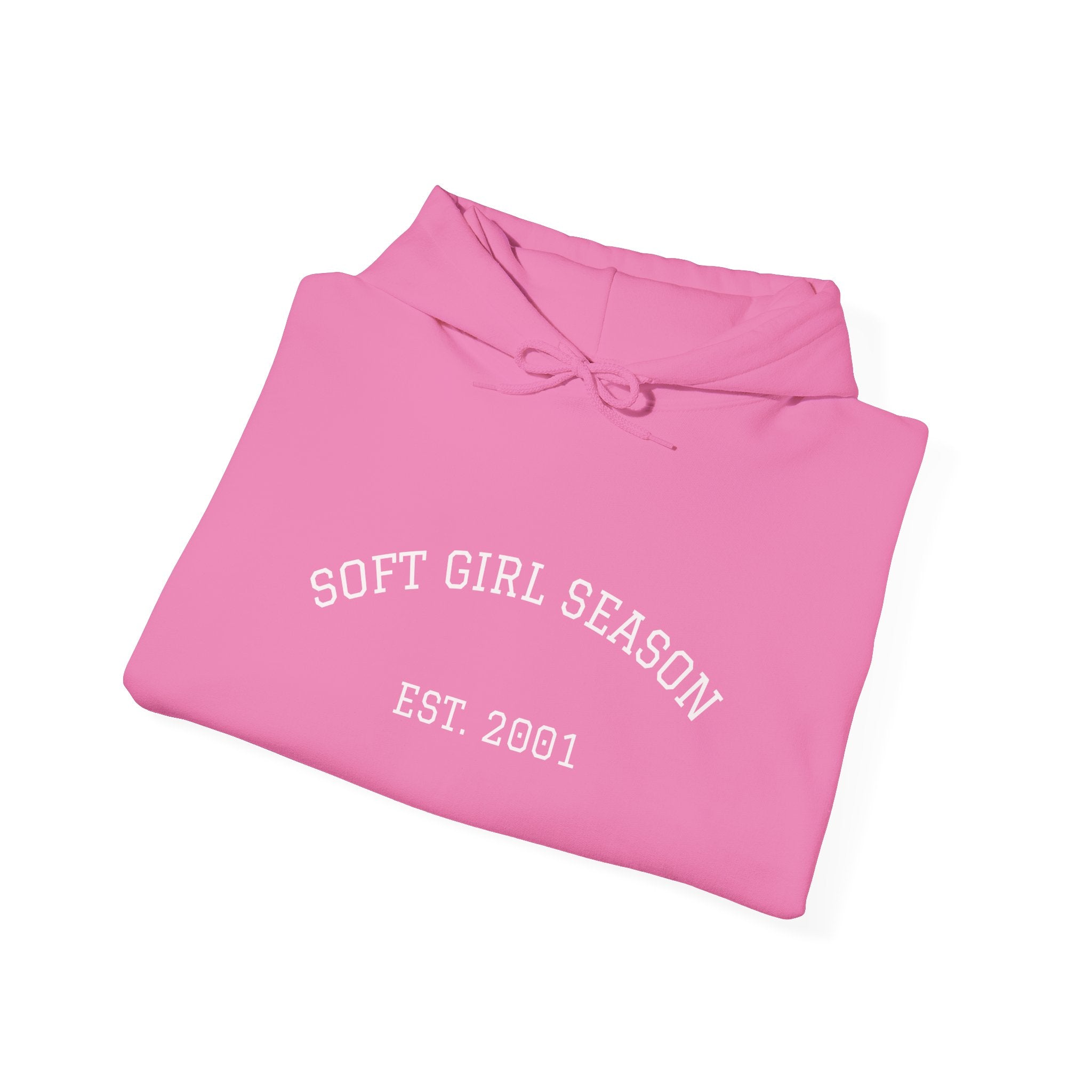 Baby Pink Soft Girl Vibes Hoodie | Pastel Aesthetic Sweatshirt
