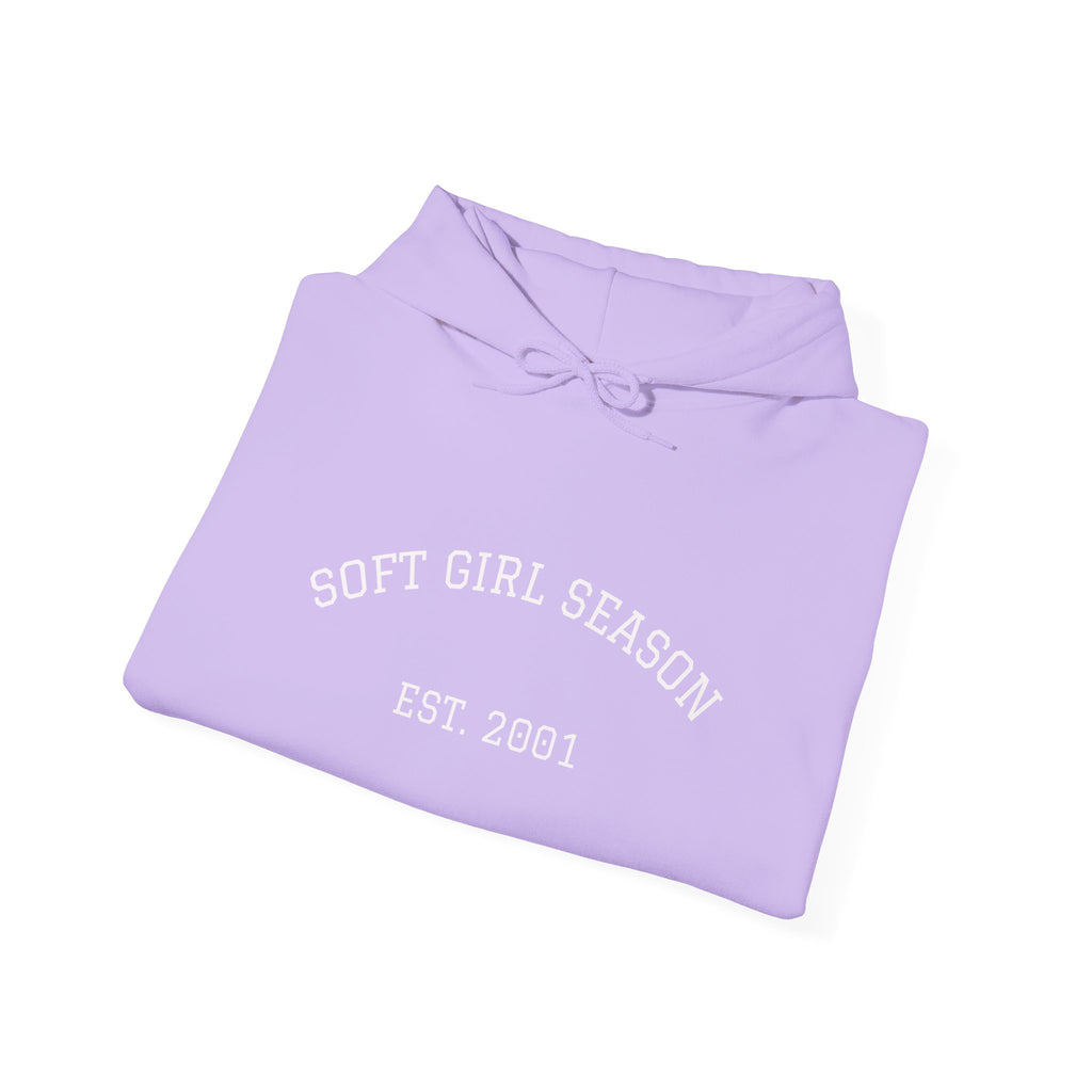 Baby Pink Soft Girl Vibes Hoodie | Pastel Aesthetic Sweatshirt