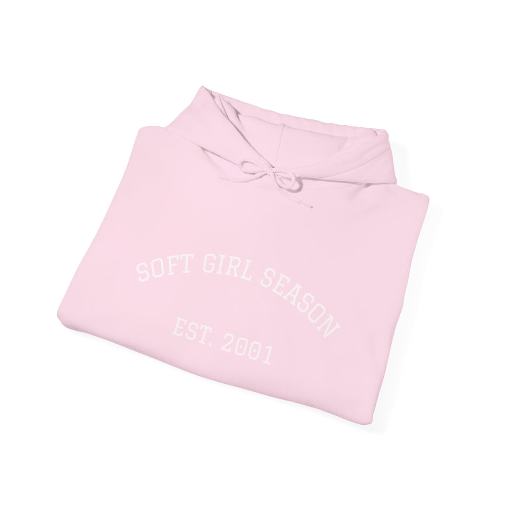 Baby Pink Soft Girl Vibes Hoodie | Pastel Aesthetic Sweatshirt