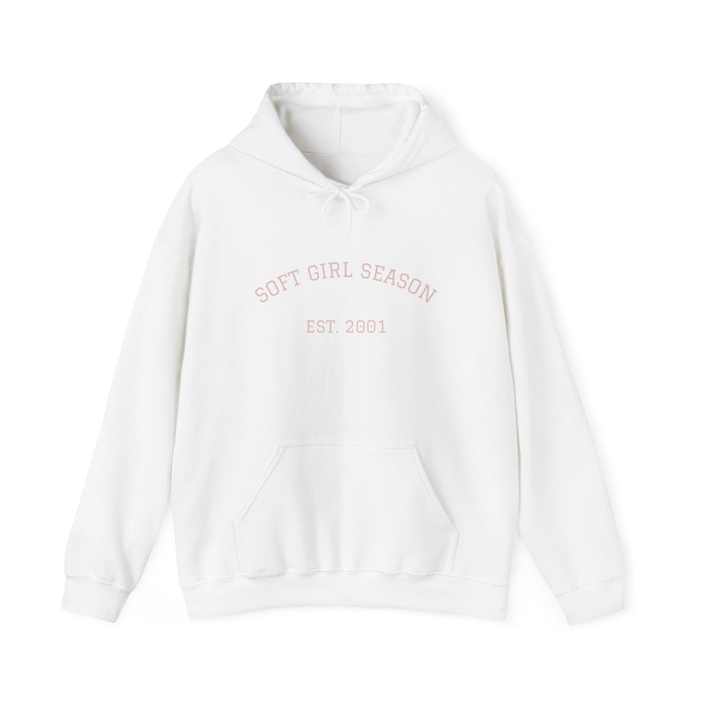 Baby Pink Soft Girl Vibes Hoodie | Pastel Aesthetic Sweatshirt