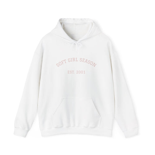 Baby Pink Soft Girl Vibes Hoodie | Pastel Aesthetic Sweatshirt