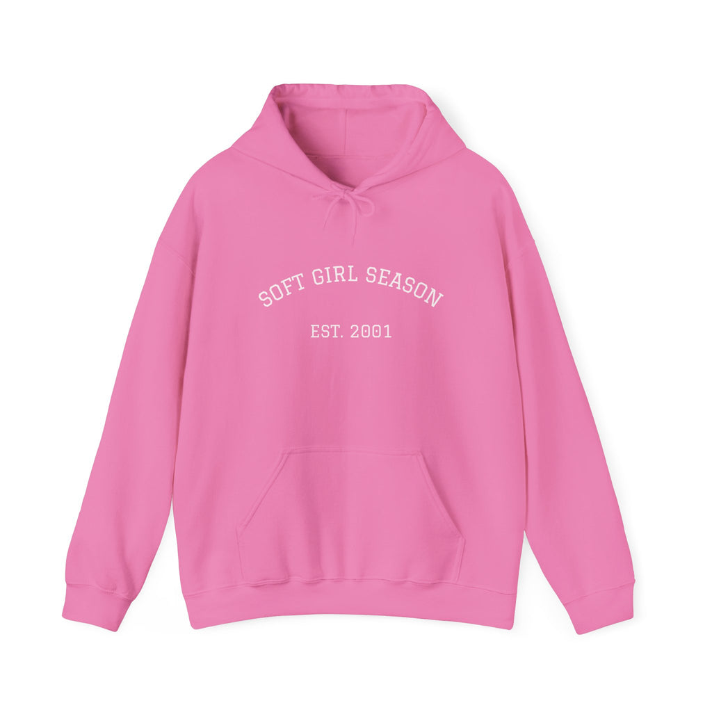Baby Pink Soft Girl Vibes Hoodie | Pastel Aesthetic Sweatshirt