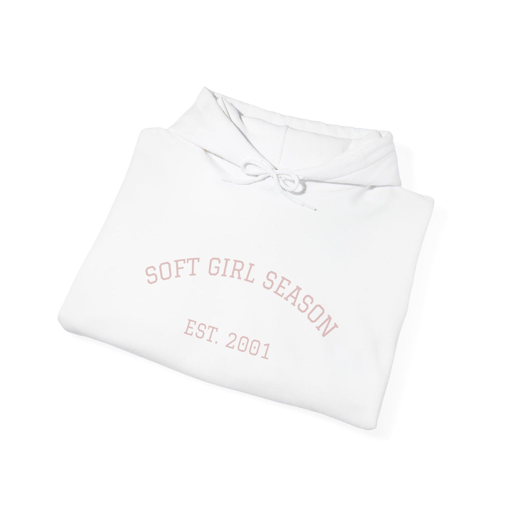 Baby Pink Soft Girl Vibes Hoodie | Pastel Aesthetic Sweatshirt