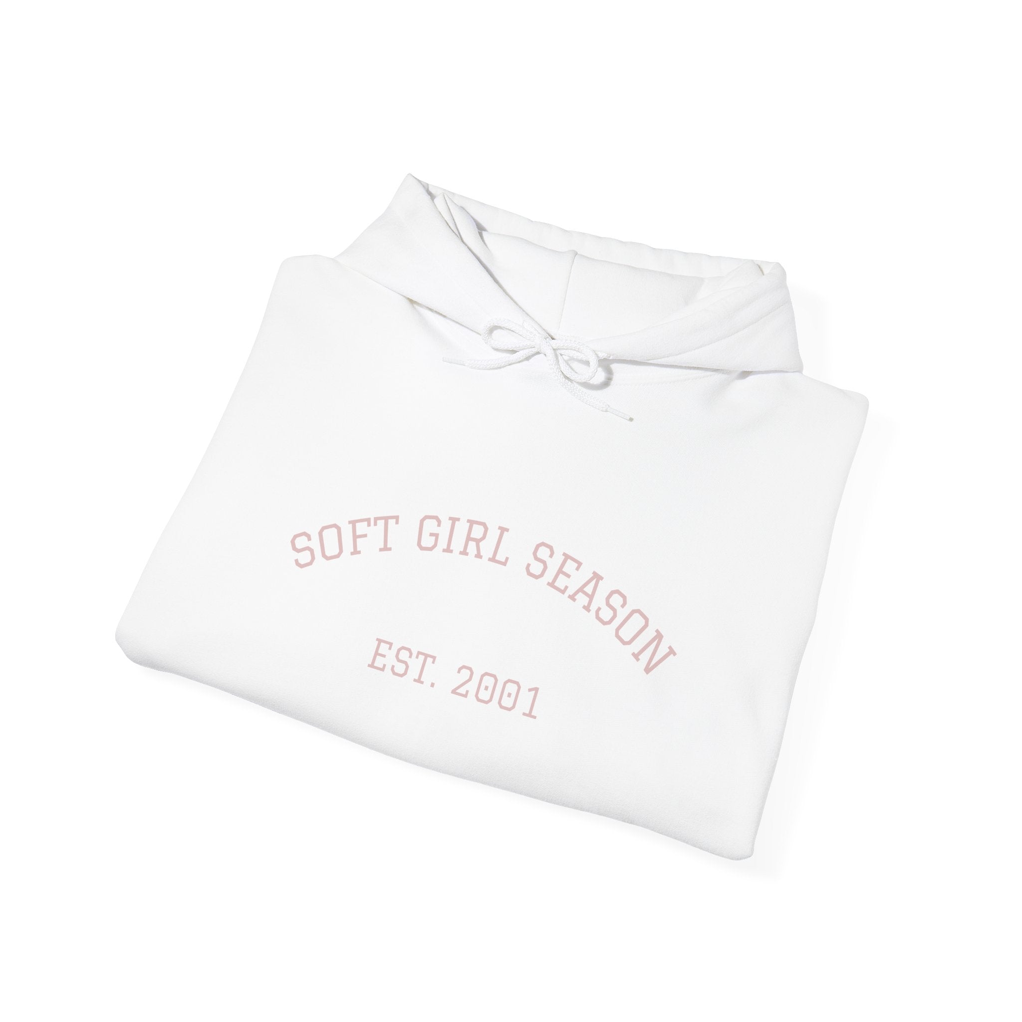 Baby Pink Soft Girl Vibes Hoodie | Pastel Aesthetic Sweatshirt