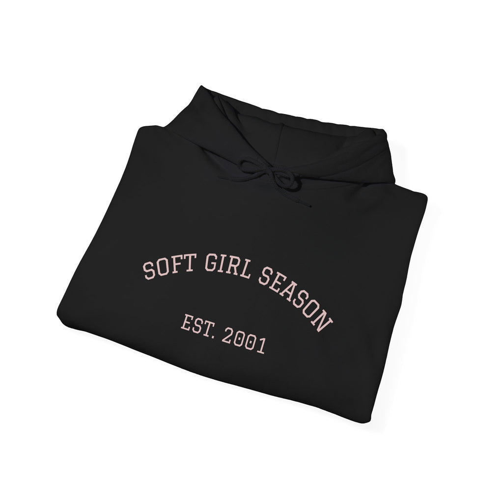 Baby Pink Soft Girl Vibes Hoodie | Pastel Aesthetic Sweatshirt