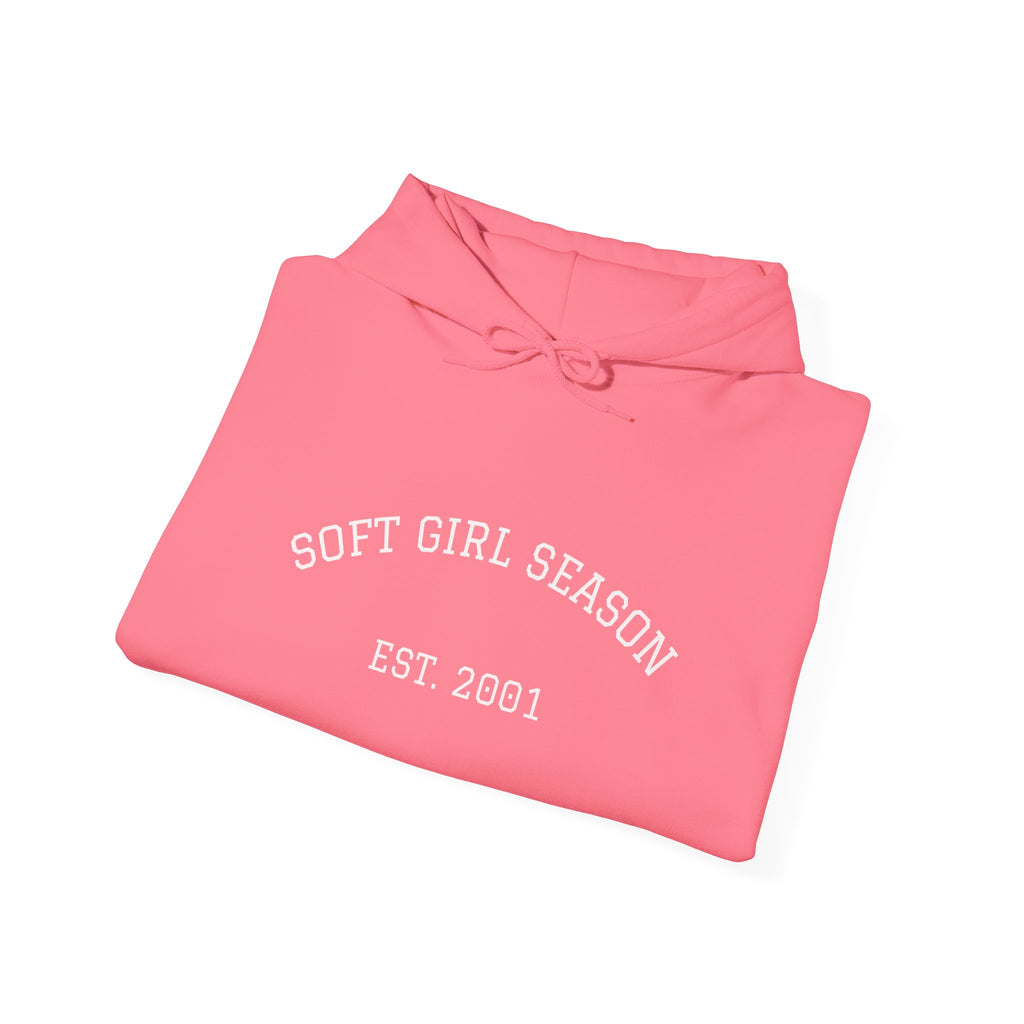 Baby Pink Soft Girl Vibes Hoodie | Pastel Aesthetic Sweatshirt